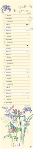 Produktbild: Edith Holden: Mit der Natur durchs Jahr Kalender 2027