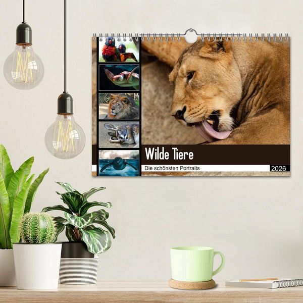 Produktbild: Wilde Tiere - Die sch&ouml;nsten Portraits (Wandkalender 2026 DIN A4 quer), CALVENDO Monatskalender