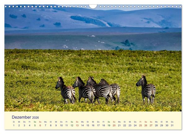 Produktbild: Faszination Afrikanischer Landschaften (Wandkalender 2026 DIN A3 quer), CALVENDO Monatskalender
