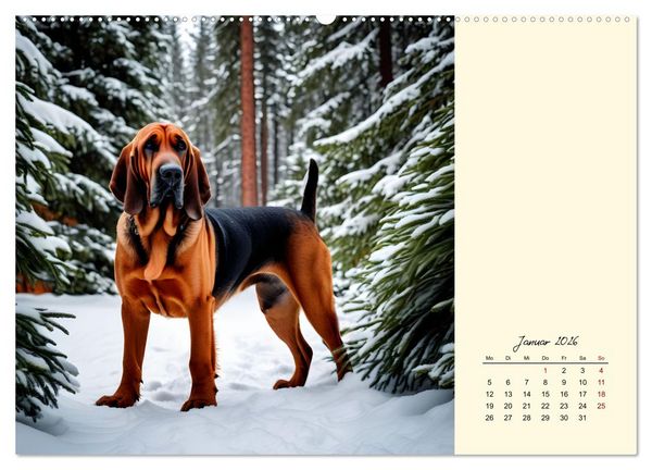 Produktbild: Bloodhound - M&auml;chtige Sp&uuml;rnase (hochwertiger Premium Wandkalender 2026 DIN A2 quer), Kunstdruck in Hochglanz