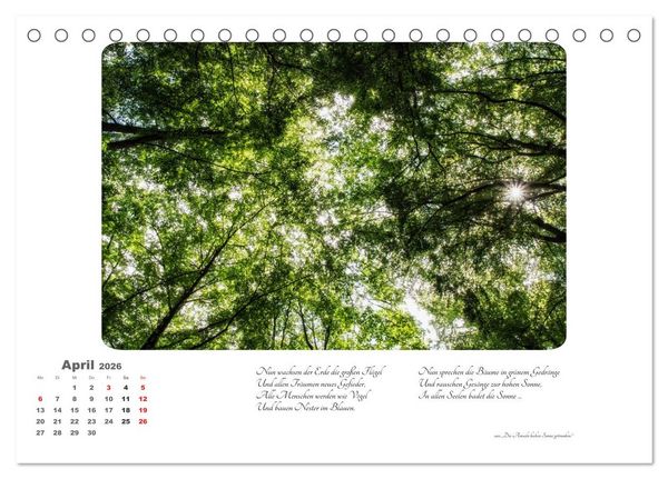 Produktbild: Max Dauthendey - Mit dem Wald durchs Jahr (Tischkalender 2026 DIN A5 quer), CALVENDO Monatskalender