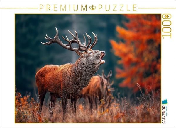 CALVENDO Puzzle Ein mächtiger Hirsch ruft während der Brunft im herbstlichen Wald und zeigt seine ganze Stärke und Präsenz. | 1000 Teile Lege-Größe