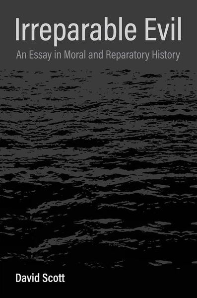 Produktbild: Irreparable Evil - An Essay in Moral and Reparatory History