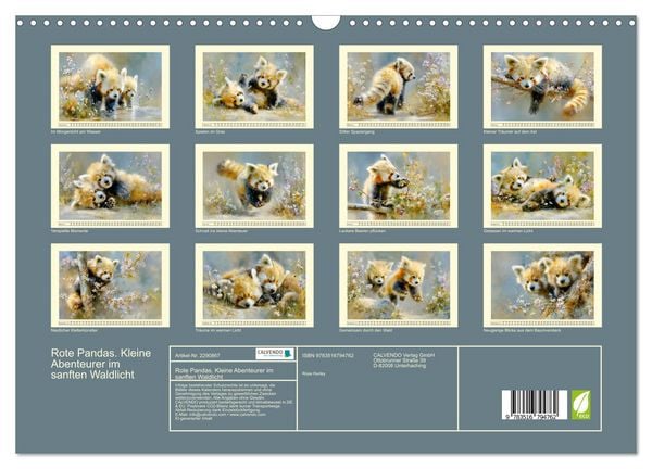 Produktbild: Rote Pandas. Kleine Abenteurer im sanften Waldlicht (Wandkalender 2027 DIN A3 quer), CALVENDO Monatskalender