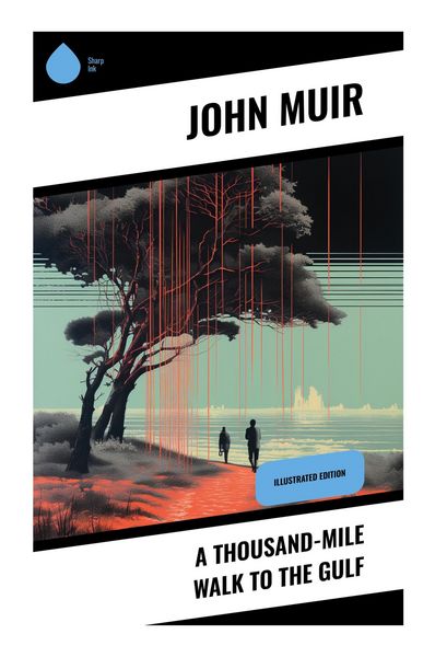 Produktbild: A Thousand-Mile Walk to the Gulf