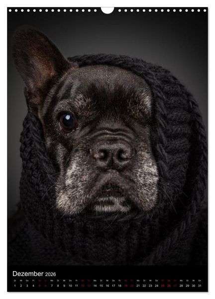 Produktbild: Bullyzauber - Franz&ouml;sische Bulldoggen (Wandkalender 2026 DIN A3 hoch), CALVENDO Monatskalender