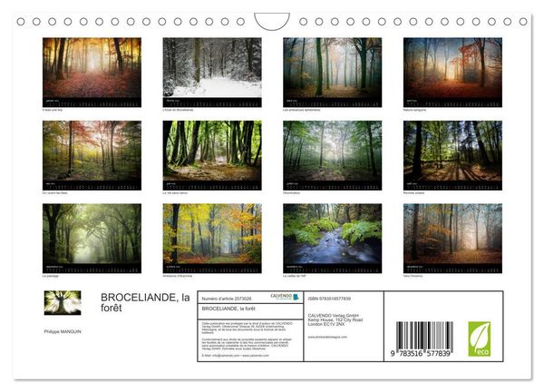 Produktbild: BROCELIANDE, la for&ecirc;t (Calendrier mural 2026 DIN A4 vertical), CALVENDO calendrier mensuel