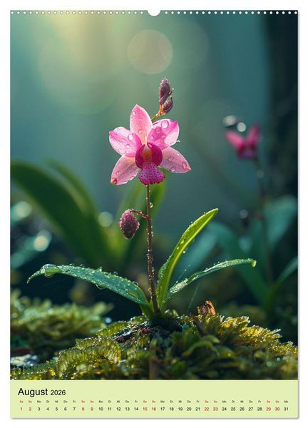 Produktbild: Orchideen Poesie (Wandkalender 2026 DIN A2 hoch), CALVENDO Monatskalender