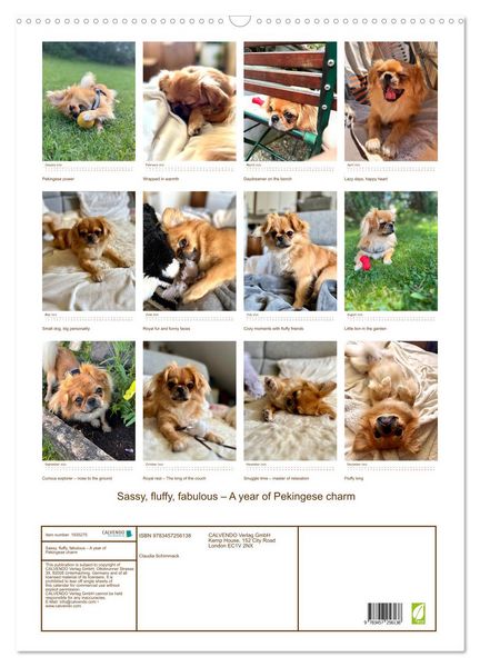 Produktbild: Sassy, fluffy, fabulous &ndash; A year of Pekingese charm (Wall Calendar 2026 DIN A2 portrait), CALVENDO 12 Month Wall Calendar
