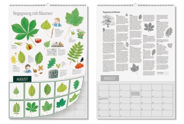Produktbild: Natur erleben durch das Jahr - 2