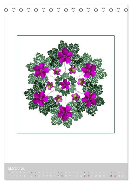 Produktbild: Pflanzen - Mandalas aus Bl&uuml;ten und Bl&auml;ttern (Tischkalender 2026 DIN A5 hoch), CALVENDO Monatskalender