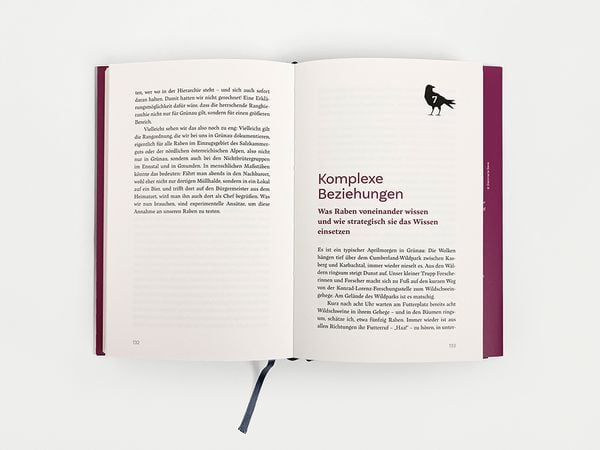 Produktbild: Raben