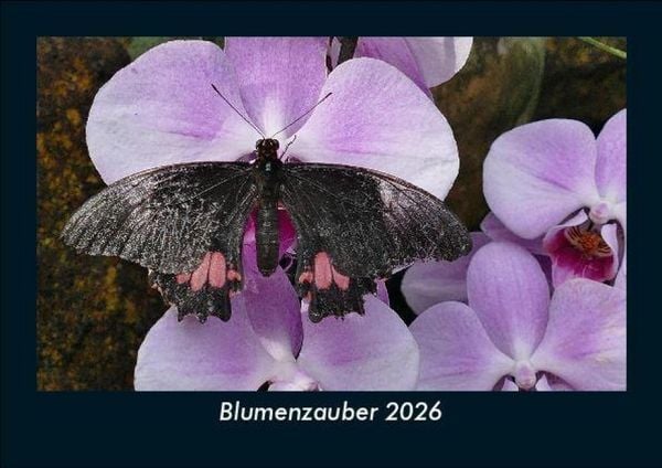 Produktbild: Blumenzauber 2026 Fotokalender DIN A5