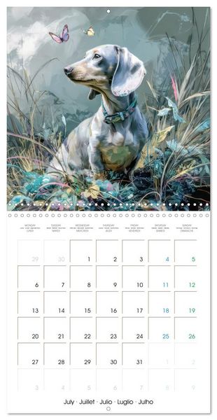 Produktbild: Dachshunds Illustrations - A hunter with humorous nature (Wall Calendar 2026 12 &times; 12 Inch) CALVENDO 12 Month Wall Calendar