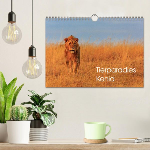Produktbild: Tierparadies Kenia (Wandkalender 2026 DIN A4 quer), CALVENDO Monatskalender