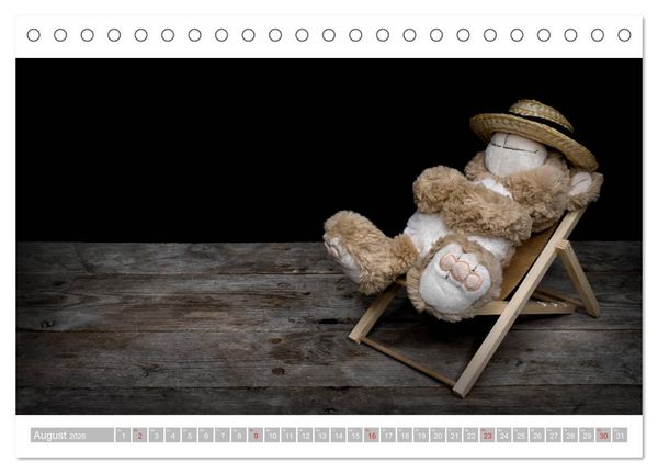 Produktbild: Eddy, der Teddy - 12 Bilder zum Schmunzeln (Tischkalender 2026 DIN A5 quer), CALVENDO Monatskalender