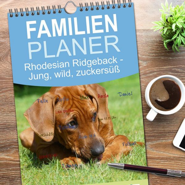 Produktbild: Familienplaner 2026 - Rhodesian Ridgeback - Jung, wild, zuckers&uuml;&szlig; mit 5 Spalten (Wandkalender, 21 x 45 cm) CALVENDO
