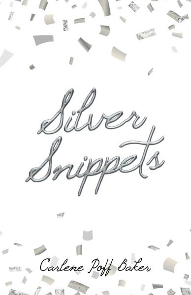 Produktbild: Silver Snippets