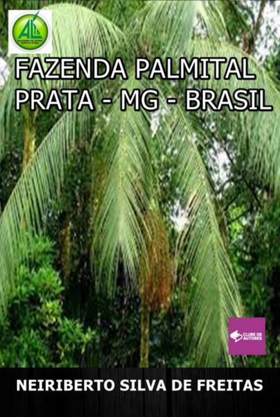 Produktbild: Fazenda Palmital Prata-mg-brasil
