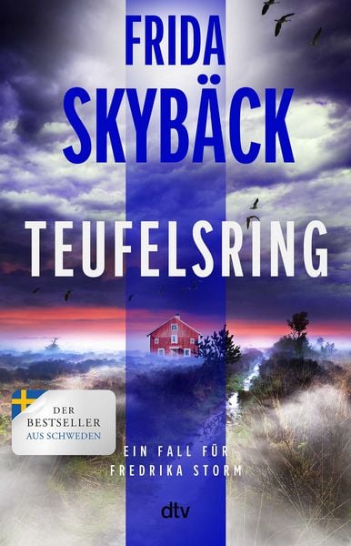 Teufelsring, Taschenbuch von Frida Skybäck, dtv, 978-3-423-26479-2