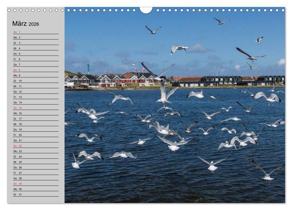 Produktbild: D&auml;nemark - Umgebung von Hvide Sande (Wandkalender 2026 DIN A3 quer), CALVENDO Monatskalender