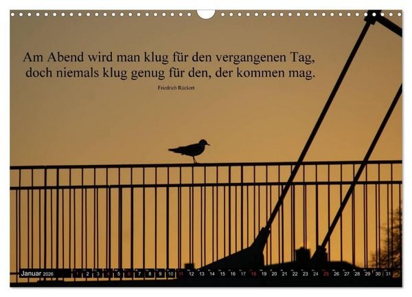 Produktbild: Weisheiten, Zitate und Spr&uuml;che - Ein Jahr voller Gedanken 2026 AT Version (Wandkalender 2026 DIN A3 quer), CALVENDO Monatskalender