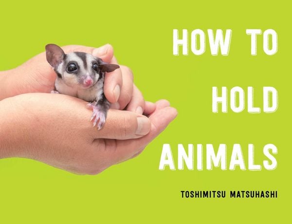 Produktbild: How to Hold Animals
