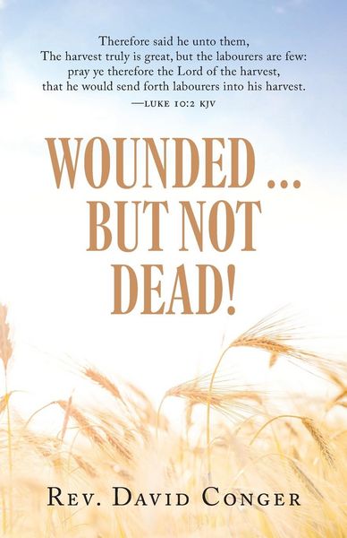Produktbild: Wounded ... But Not Dead!