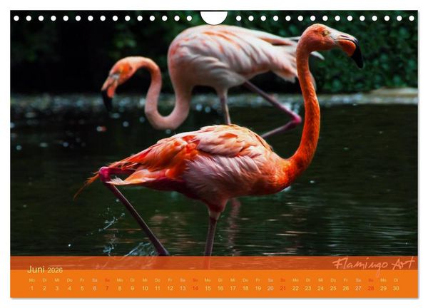 Produktbild: Flamingo Art 2026 (Wandkalender 2026 DIN A4 quer), CALVENDO Monatskalender