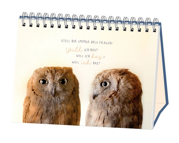Produktbild: Traumtage