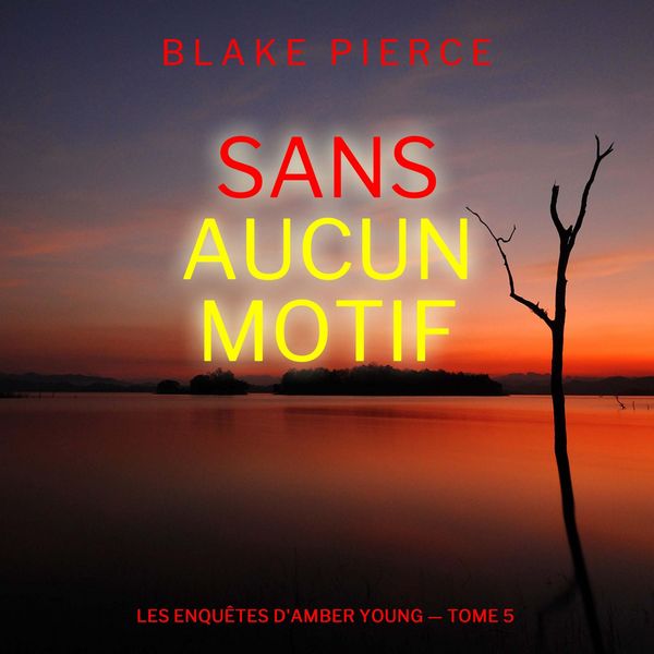 Produktbild: Sans aucun motif (Les Enqu&ecirc;tes d'Amber Young &mdash; tome 5)