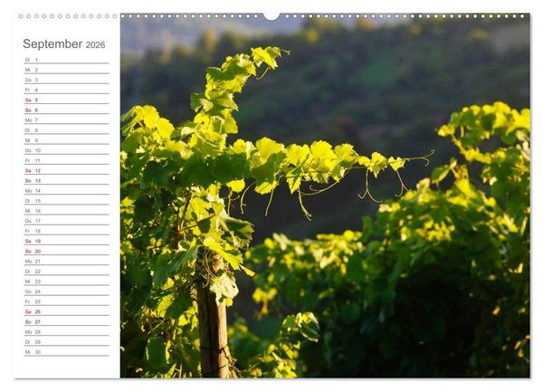 Produktbild: Wein (hochwertiger Premium Wandkalender 2026 DIN A2 quer), Kunstdruck in Hochglanz