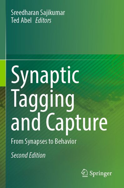 Produktbild: Synaptic Tagging and Capture