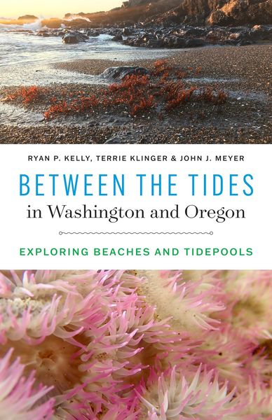 Produktbild: Between the Tides in Washington and Oregon
