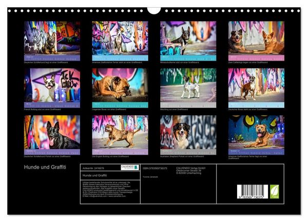 Produktbild: Hunde und Graffiti (Wandkalender 2027 DIN A3 quer), CALVENDO Monatskalender