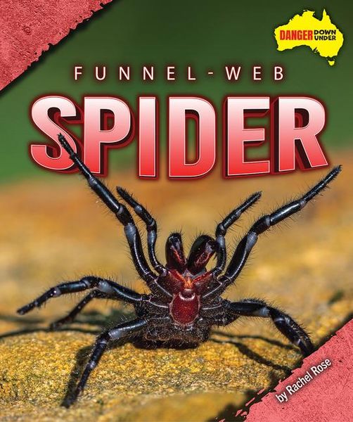 Produktbild: Funnel-Web Spider