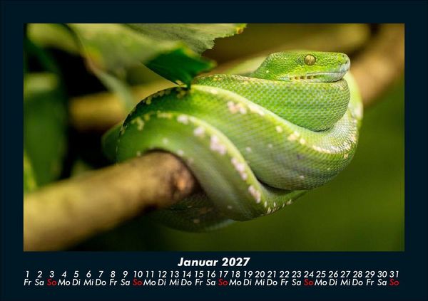 Produktbild: Welt der Tiere 2027 Fotokalender DIN A5