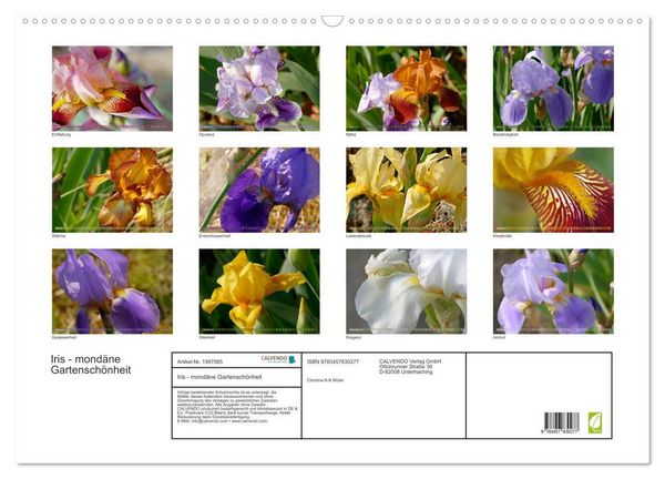 Produktbild: Iris - mond&auml;ne Gartensch&ouml;nheit (Wandkalender 2026 DIN A2 quer), CALVENDO Monatskalender