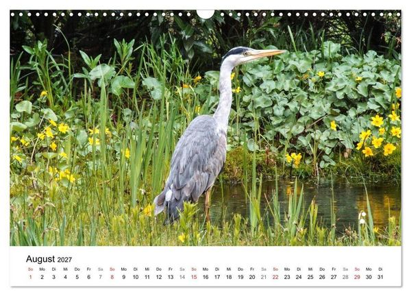 Produktbild: Paradies Naturgarten (Wandkalender 2027 DIN A3 quer), CALVENDO Monatskalender