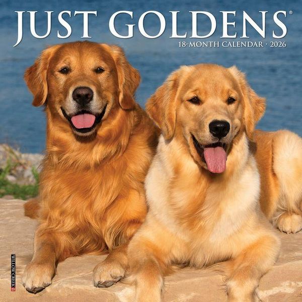 Produktbild: Just Goldens 2026 Mini Wall Calendar