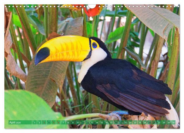 Produktbild: Entdecke Bolivien (Wandkalender 2026 DIN A3 quer), CALVENDO Monatskalender