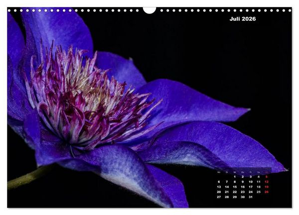 Produktbild: Der Natur auf der Spur - Makro-Fotografien der besonderen Art (Wandkalender 2026 DIN A3 quer), CALVENDO Monatskalender