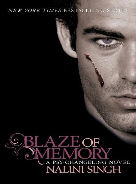 Blaze of Memory