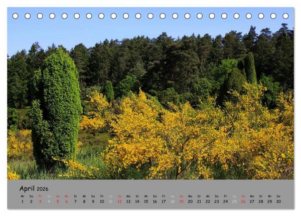 Produktbild: L&uuml;neburger Heide - sch&ouml;n zu jeder Jahreszeit (Tischkalender 2026 DIN A5 quer), CALVENDO Monatskalender