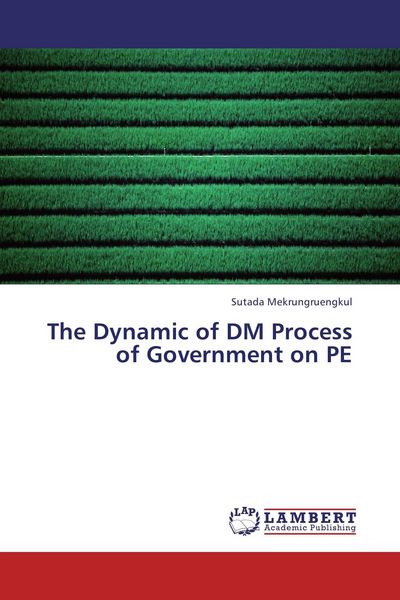 Produktbild: The Dynamic of DM Process of Government on PE