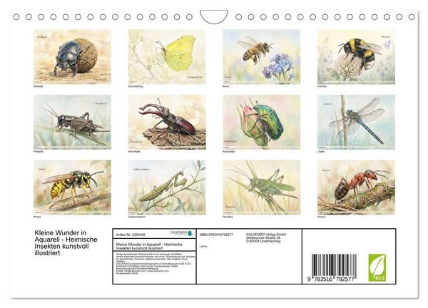 Produktbild: Kleine Wunder in Aquarell - Heimische Insekten kunstvoll illustriert (Wandkalender 2027 DIN A4 quer), CALVENDO Monatskalender