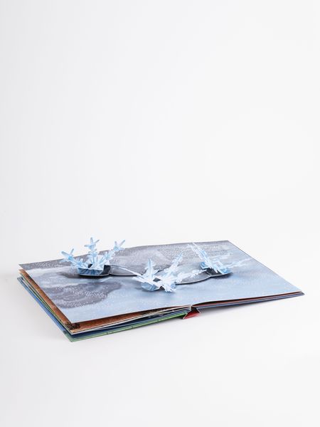 Das Wetter. Pop-up-Buch