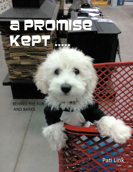Produktbild: A Promise Kept .....