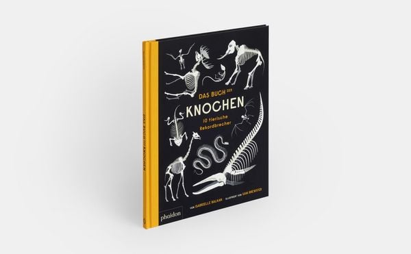 Produktbild: Das Buch der Knochen