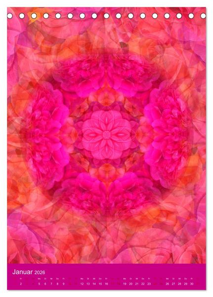 Produktbild: Meditative Pflanzenmandalas (Tischkalender 2026 DIN A5 hoch), CALVENDO Monatskalender